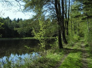 Obrázok